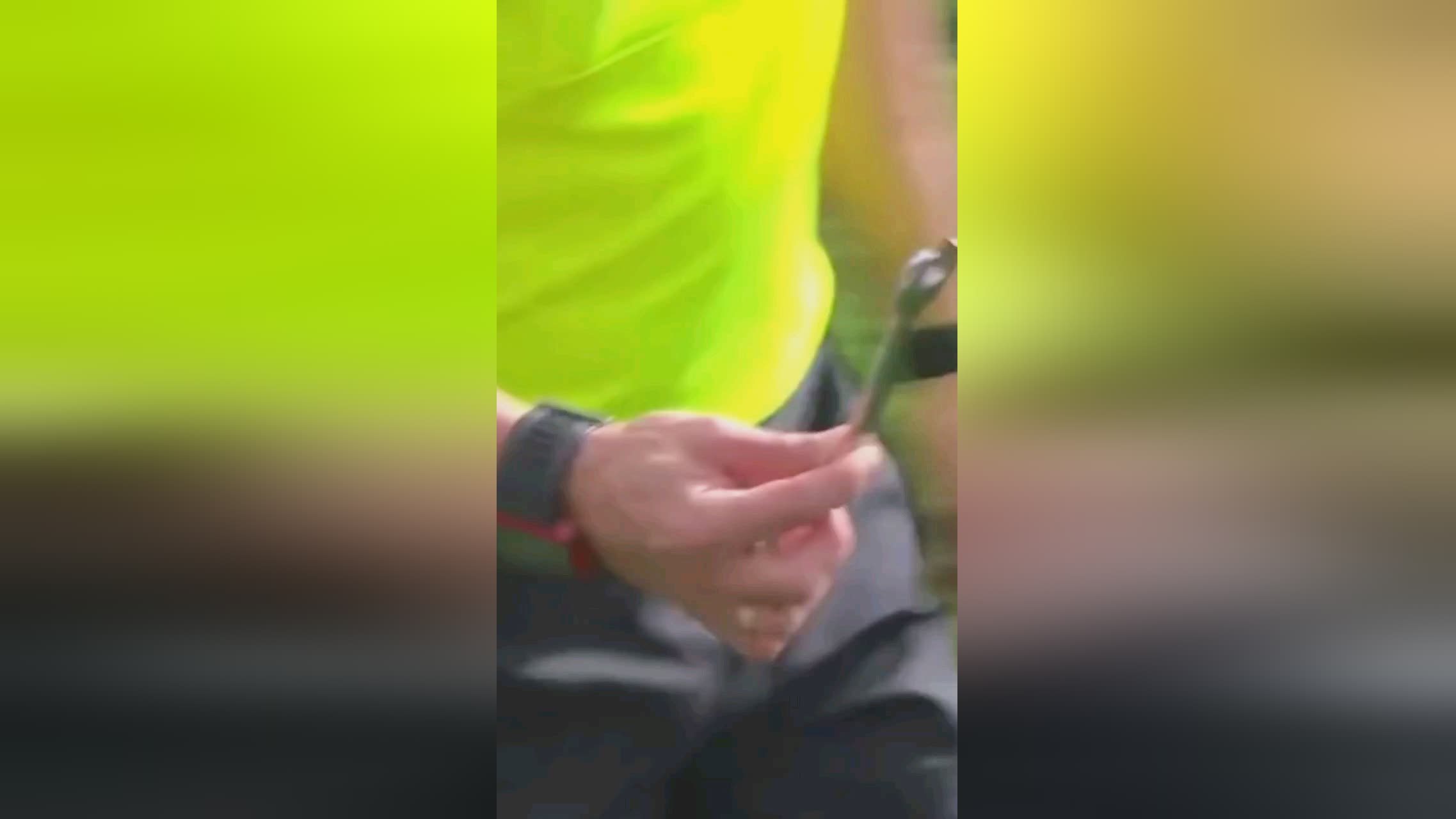 信心伊尔