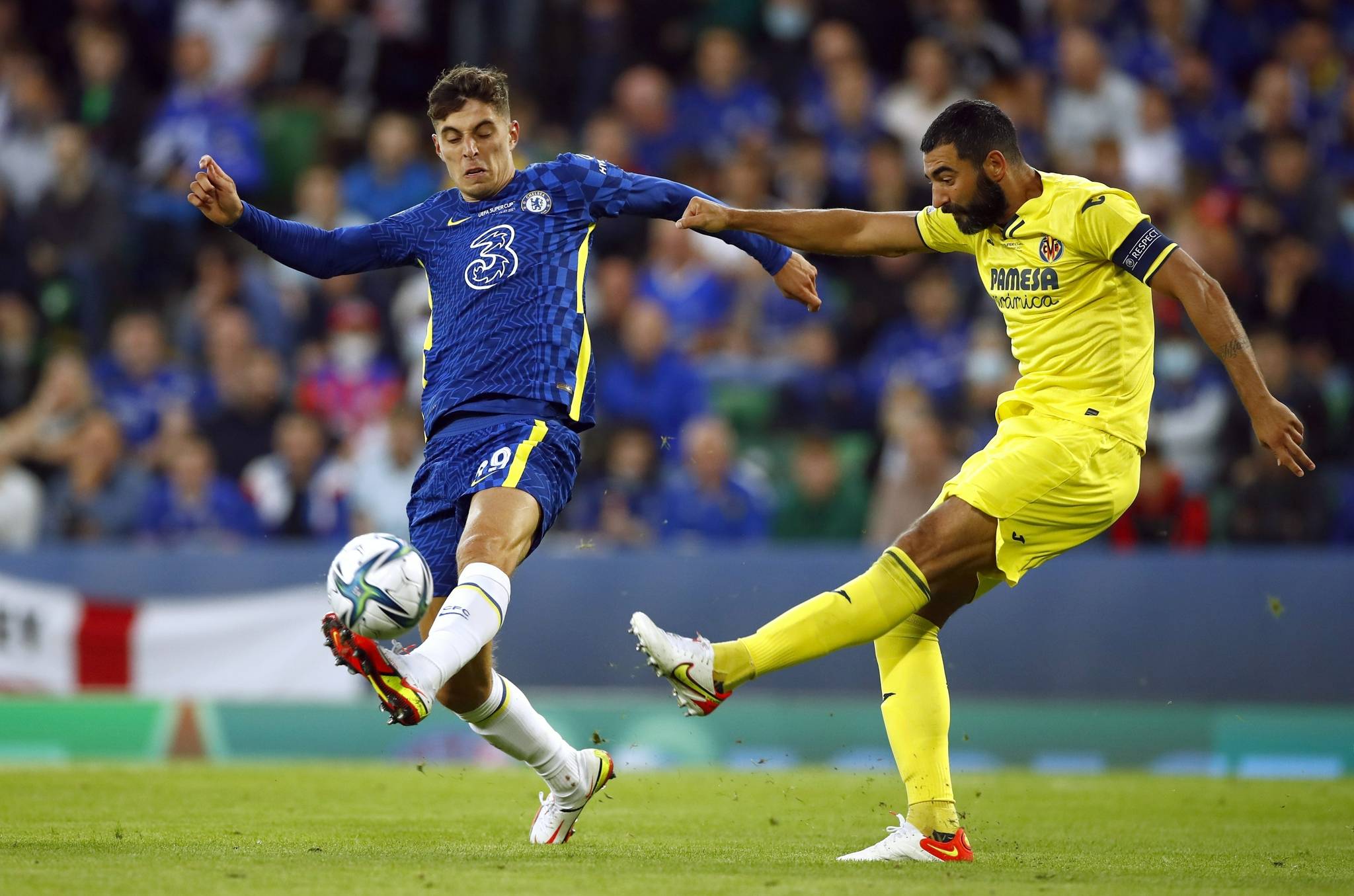 们丰富的战 们丰富的战